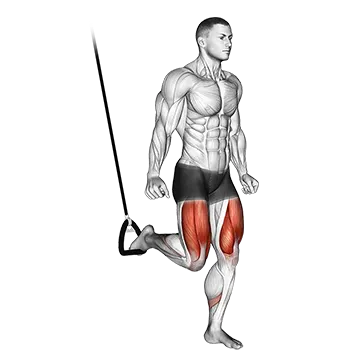 Suspended Split Squat