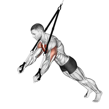 Suspension Chest Press - Exclusive get you ultimate Strength for Chest from X health blend   Animated Exercise  Library