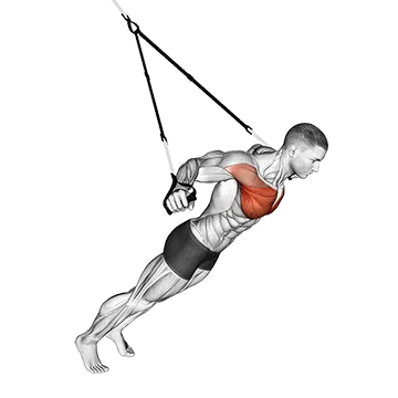 Suspension Fly - Exclusive get you ultimate Strength for Chest from X health blend   Animated Exercise  Library