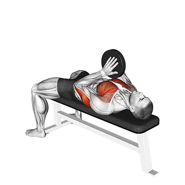 Svend Bench Press - Exclusive get you ultimate Strength for Chest from X health blend   Animated Exercise  Library