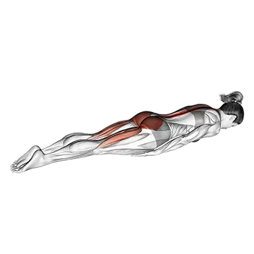 Swimmer Kicks - Exclusive get you ultimate Strength for Back