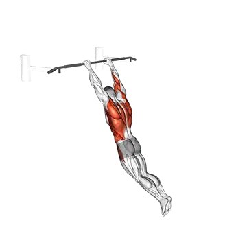 Swing 360 - Exclusive get you ultimate Strength for Core from X health blend   Animated Exercise  Library