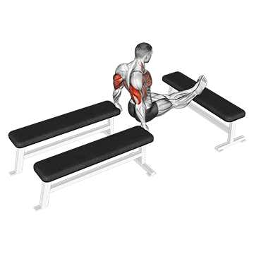 Three Bench Dip - Exclusive get you ultimate Strength for Triceps
