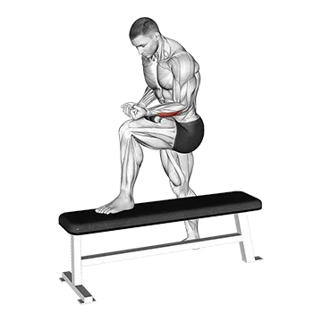 Tiger Tail Forearm - Exclusive get you ultimate Recovery for Forearms from X health blend   Animated Exercise  Library