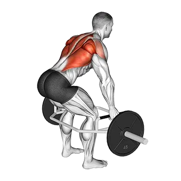 Trap Bar Bent Over Row - Exclusive get you ultimate Strength for Back from X health blend   Animated Exercise  Library