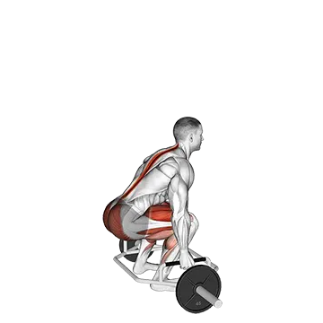 Trap Bar Deadlift - Exclusive get you ultimate Strength for Glutes