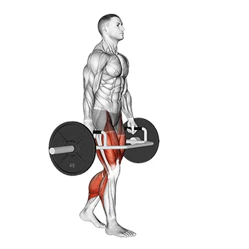 Trap Bar Farmers Carry - Exclusive get you ultimate Strength for Shoulders