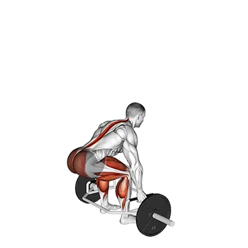 Trap Bar Jump Squat - Exclusive get you ultimate Strength for Quadriceps from X health blend   Animated Exercise  Library