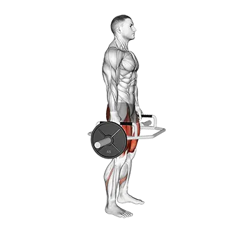 Trap Bar Squat - Exclusive get you ultimate Strength for Quadriceps