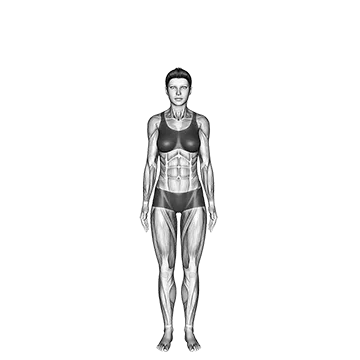 Tree Pose Vrksasana - Exclusive get you ultimate Strength for Legs from X health blend   Animated Exercise  Library