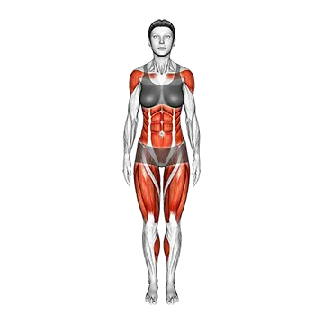 Triangle Pose Trikonasana - Exclusive get you ultimate Stretching for Legs from X health blend   Animated Exercise  Library