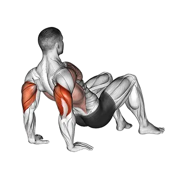 Triceps Dips Floor - Exclusive get you ultimate Strength for Triceps from X health blend   Animated Exercise  Library