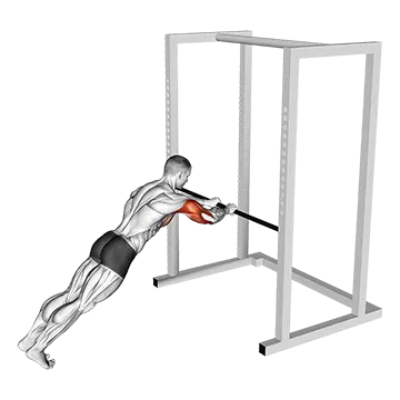 Triceps Press - Exclusive get you ultimate Strength for Triceps from X health blend   Animated Exercise  Library