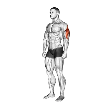 Triceps Stretch - Exclusive get you ultimate Stretching