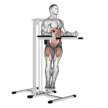 Twisted Leg Raise - Exclusive get you ultimate Strength for Rectus Abdominis from X health blend   Animated Exercise  Library