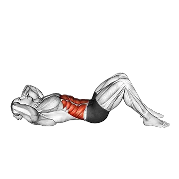Twisting Crunch - Exclusive get you ultimate Strength for Rectus Abdominis from X health blend   Animated Exercise  Library