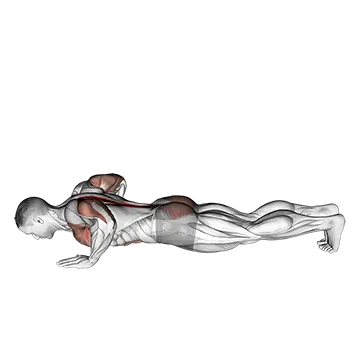 Upward Facing Dog - Exclusive get you ultimate Stretching for Chest