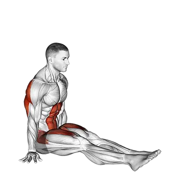 V Sit on Floor - Exclusive get you ultimate Strength for Rectus Abdominis from X health blend   Animated Exercise  Library