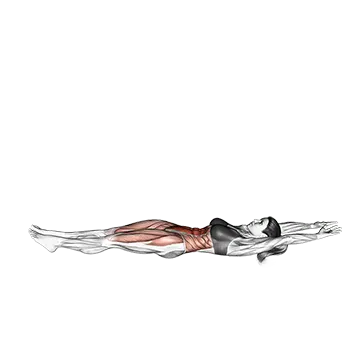 V Up - Exclusive get you ultimate Strength for Rectus Abdominis from X health blend   Animated Exercise  Library