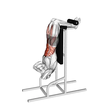 Vertical Sit Up