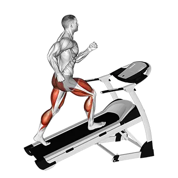 Walking on Incline Treadmill - Exclusive get you ultimate Cardio for Quadriceps