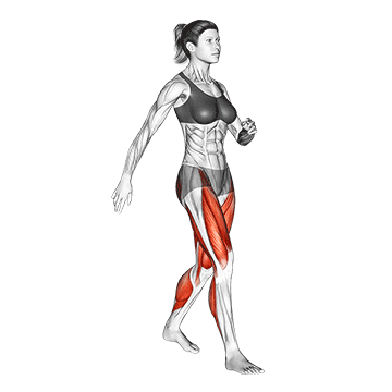 Walking - Exclusive get you ultimate Cardio for Quadriceps
