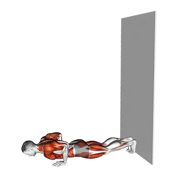 Wall Walks - Exclusive get you ultimate Strength for Shoulders