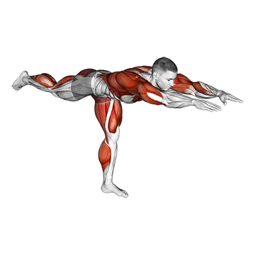 Warrior Pose - Exclusive get you ultimate Stretching for Quadriceps