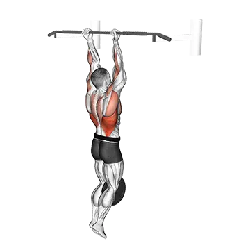 Weighted Chin Up