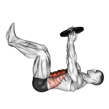 Weighted Crunch - Exclusive get you ultimate Strength for Rectus Abdominis from X health blend   Animated Exercise  Library