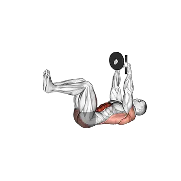 Weighted Dead Bug - Exclusive get you ultimate Strength for Rectus Abdominis from X health blend   Animated Exercise  Library