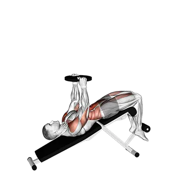 Weighted Decline Sit Up - Exclusive get you ultimate Strength for Rectus Abdominis from X health blend   Animated Exercise  Library