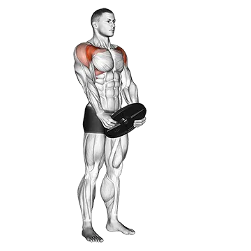 Weighted Front Raise - Exclusive get you ultimate Strength for Shoulders from X health blend   Animated Exercise  Library