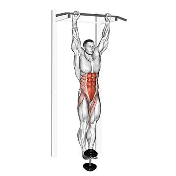 Weighted Hanging Leg Hip Raise - Exclusive get you ultimate Strength for Lower Abdominals from X health blend   Animated Exercise  Library