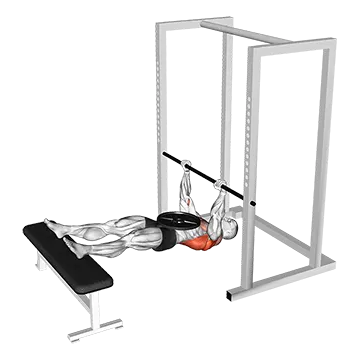 Weighted Inverted Row - Exclusive get you ultimate Strength for Back