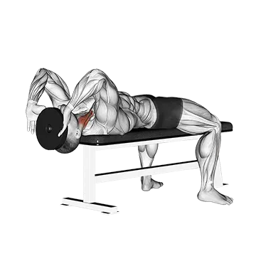 Weighted Lying Neck Flexion - Exclusive get you ultimate Strength for Sternocleidomastoid from X health blend   Animated Exercise  Library