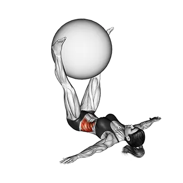 Weighted Lying Twist - Exclusive get you ultimate Strength for Obliques from X health blend   Animated Exercise  Library