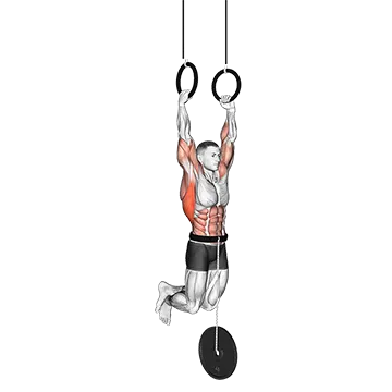 Weighted Muscle Up - Exclusive get you ultimate Strength for Back
