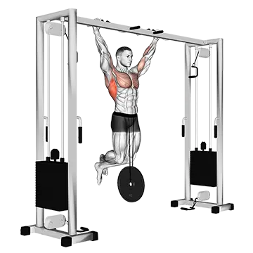 Weighted Pull Up
