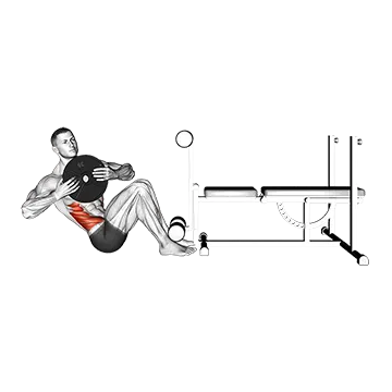Weighted Russian Twist - Exclusive get you ultimate Strength for Obliques from X health blend   Animated Exercise  Library