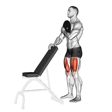 Weighted Sissy Squat - Exclusive get you ultimate Strength for Quadriceps from X health blend   Animated Exercise  Library