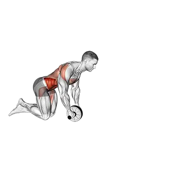 Wheel Rollout - Exclusive get you ultimate Strength for Abdominals from X health blend   Animated Exercise  Library