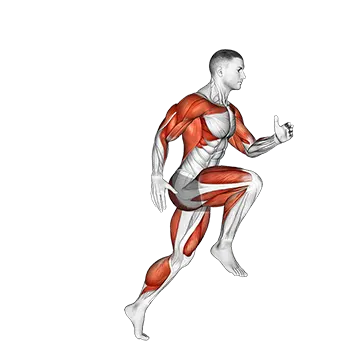 Wheel Run - Exclusive get you ultimate Strength for Abdominals from X health blend   Animated Exercise  Library