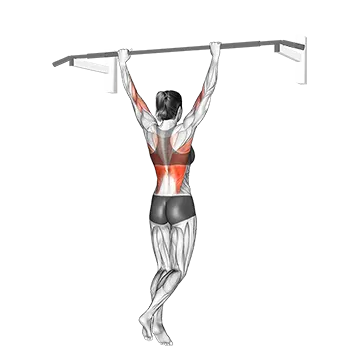 Wide Grip Pull Up - Exclusive get you ultimate Strength for Back
