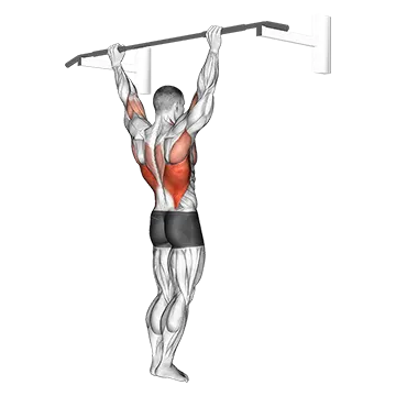 Wide Grip Rear Pull Up - Exclusive get you ultimate Strength for Back
