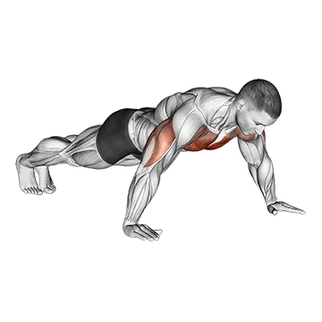 Wide Hand Push Up